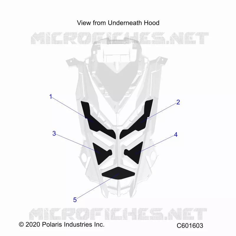 HAUBE FOAM/SEAL