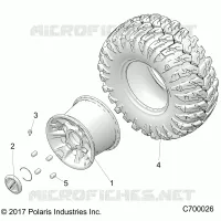 RADS, REAR
