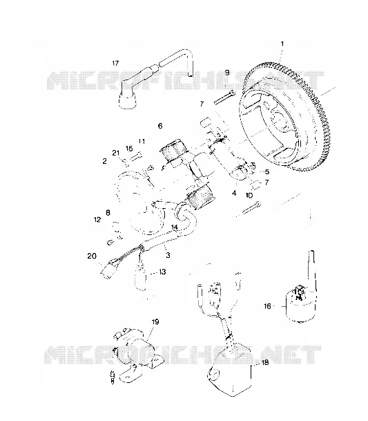 MAGNETO ASSEMBLY (4913491349036A)