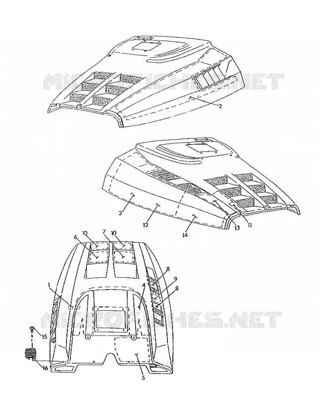 HAUBE