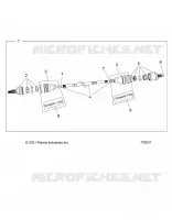 DRIVE TRAIN, HALF HINTERWELLE