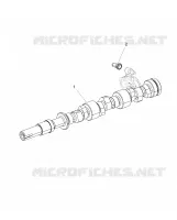 NOCKENWELLE & PUSH ROD