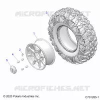 RADS, REAR