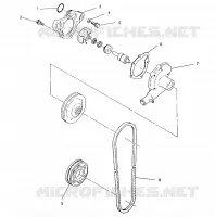 WASSERPUMPE 440 XCR 0951660 (4929112911C011)