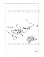 ELEKTRIC, HARNESS