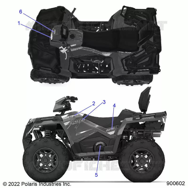 DECALSS GRAPHIC