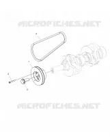 ENGINE, DRIVE ROLLE AND DRIVE BELT