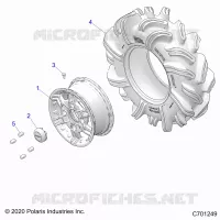 RADS, REAR