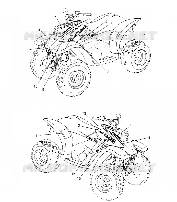 DECALS TRAIL BLAZER W957221 (4930363036A008)